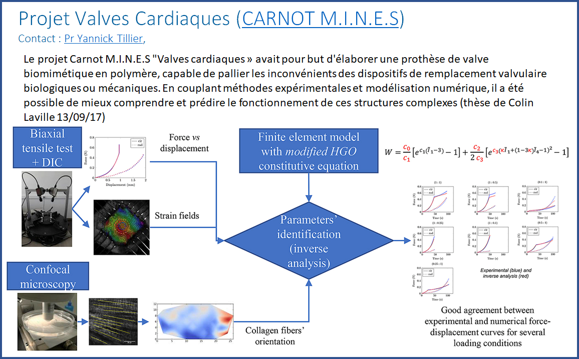 Valves cardiaques