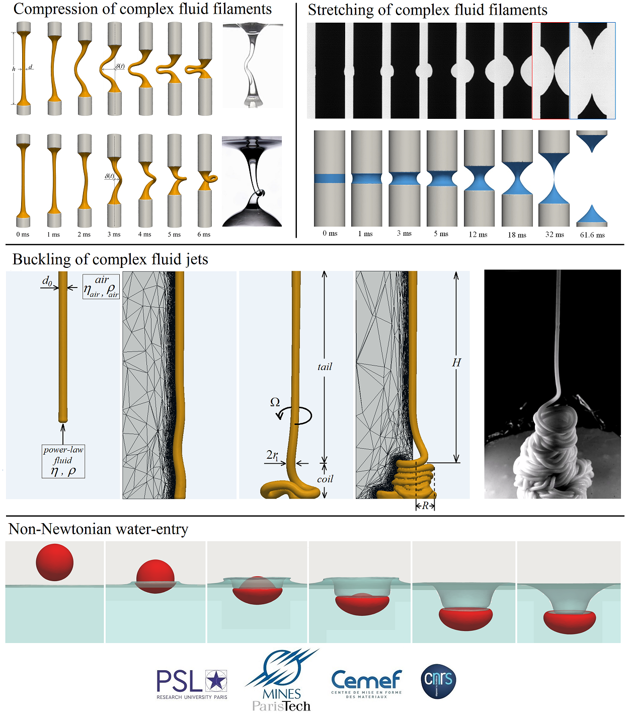 the different steps
