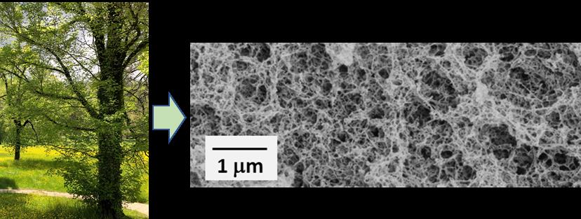 Bio-aerogels for Biomedical Applications