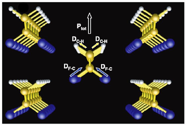 Phase β du PVDF