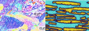 Cartographie et simulation numérique du processus de globularisation