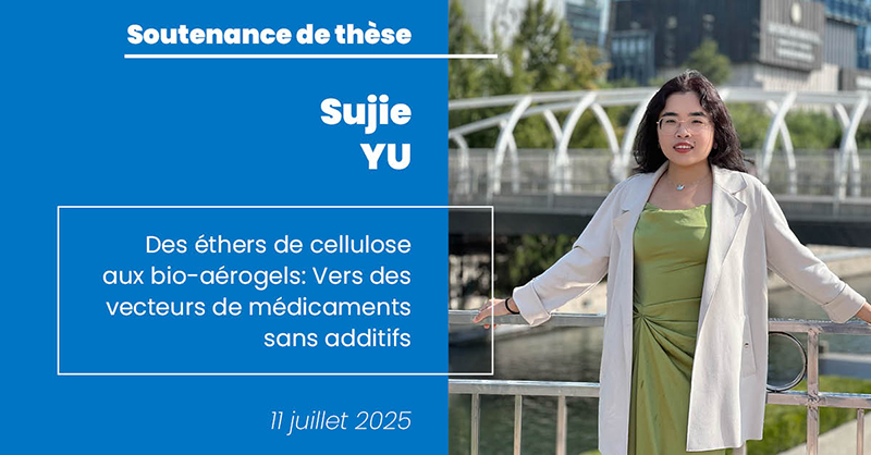 soutenance de thèse de Sujie Yu