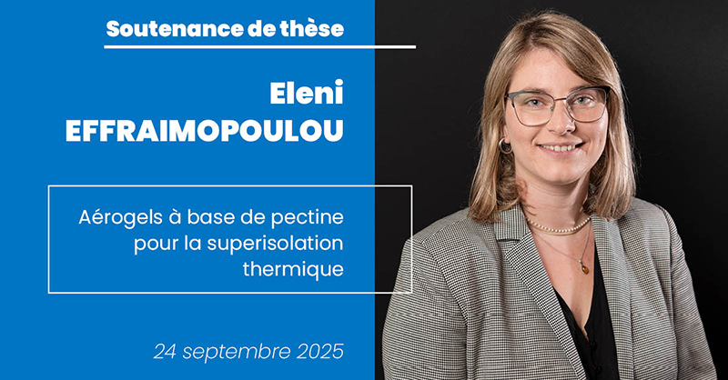 Soutenance de thèse d'Eleni Effraimopoulou